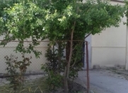 Satılır 4 otaqlı 85 m2 köhnə tikili Salyan