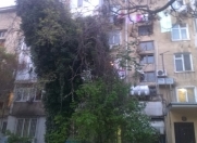 Satılır 2 otaqlı 45 m2 köhnə tikili Dədə Qorqud parkı