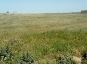 Satılır 68 sot torpaq Mehdiabad