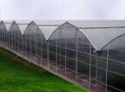 Satılır 14 otaqlı 160000 m2 obyekt Mehdiabad