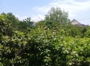 Satılır 10 sot torpaq Zaqatala