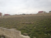 Satılır 10 sot torpaq Türkan