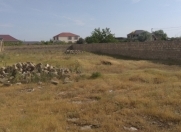 Satılır 10 sot torpaq Albalı