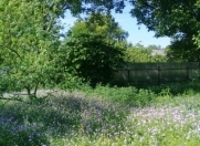 Satılır 8 sot torpaq İsmayıllı