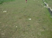 Satılır 12 sot torpaq Mərdəkan