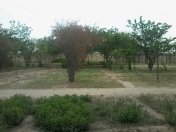 Satılır 15 sot torpaq Bilgəh