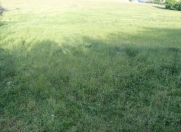 Satılır 12 sot torpaq Qusar