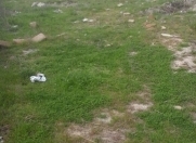 Satılır 2.5 sot torpaq Sumqayıt