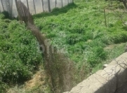 Satılır 4 sot torpaq Hövsan