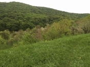 Satılır 10 sot torpaq Quba