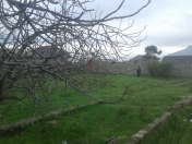 Satılır 6 sot torpaq Qala