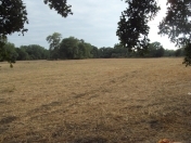 Satılır 200 sot torpaq Xaçmaz