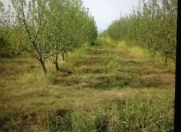 Satılır 1 sot torpaq Xaçmaz