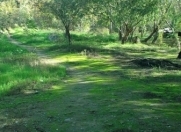 Satılır 18 sot torpaq Həzi Aslanov