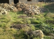 Satılır 6 sot torpaq Rəsulzadə