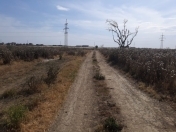 Satılır 26 sot torpaq Saray