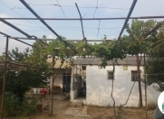 Satılır 3 otaqlı 33 m2 bağ evi Albalı