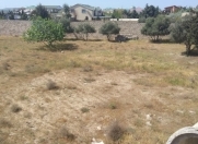 Satılır 16.5 sot torpaq Bilgəh