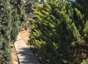 Satılır 3 otaqlı 1000 m2 bağ evi Şüvəlan