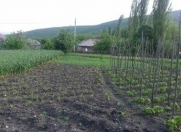 Satılır 116 sot torpaq Oğuz