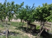 Satılır 12 sot torpaq Mərdəkan