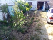 Satılır 1 otaqlı 1200 m2 bağ evi Kürdəxanı