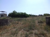 Satılır 25 sot torpaq Pirşağı