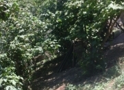 Satılır 10 sot torpaq Xaçmaz