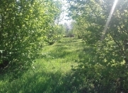 Satılır 1.8 sot torpaq NZS