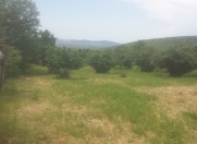 Satılır 20 sot torpaq Oğuz