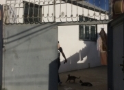 Satılır 3 otaqlı 65 m2 həyət evi Əhmədli
