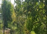 Satılır 6 sot torpaq Sumqayıt