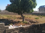 Satılır 6 sot torpaq Hövsan