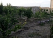 Satılır 3 sot torpaq Sumqayıt