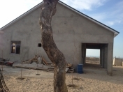 Satılır 3 otaqlı 110 m2 bağ evi Pirşağı