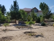 Satılır 10 sot torpaq Sumqayıt