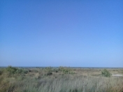 Satılır 1.2 sot torpaq Siyəzən