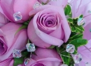 Satılır 14 otaqlı 580 m2 həyət evi Bərdə