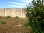 Satılır 14 sot torpaq Albalı