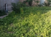 Satılır 4 otaqlı 120 m2 həyət evi Quba