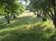 Satılır 100 sot torpaq Göyçay