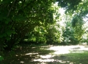 Satılır 4 otaqlı 120 m2 bağ evi Oğuz