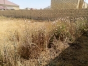 Satılır 3 sot torpaq Saray