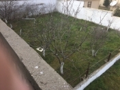 Satılır 4.5 sot torpaq Botanika bağı