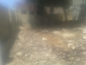 Satılır 4 sot torpaq Badamdar