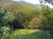 Satılır 12 sot torpaq İsmayıllı