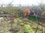 Satılır 16 sot torpaq Naxçıvan