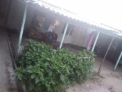 Satılır 4 otaqlı 700 m2 həyət evi Maştağa