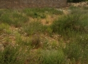 Satılır 6 sot torpaq Kürdəxanı