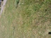 Satılır 2 sot torpaq Y.Suraxanı